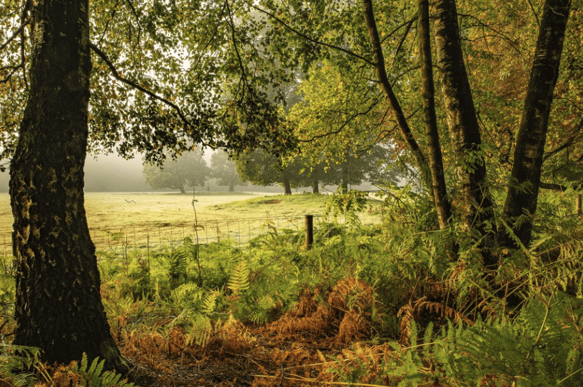 Heilooerbos Westerweg 389 Heiloo